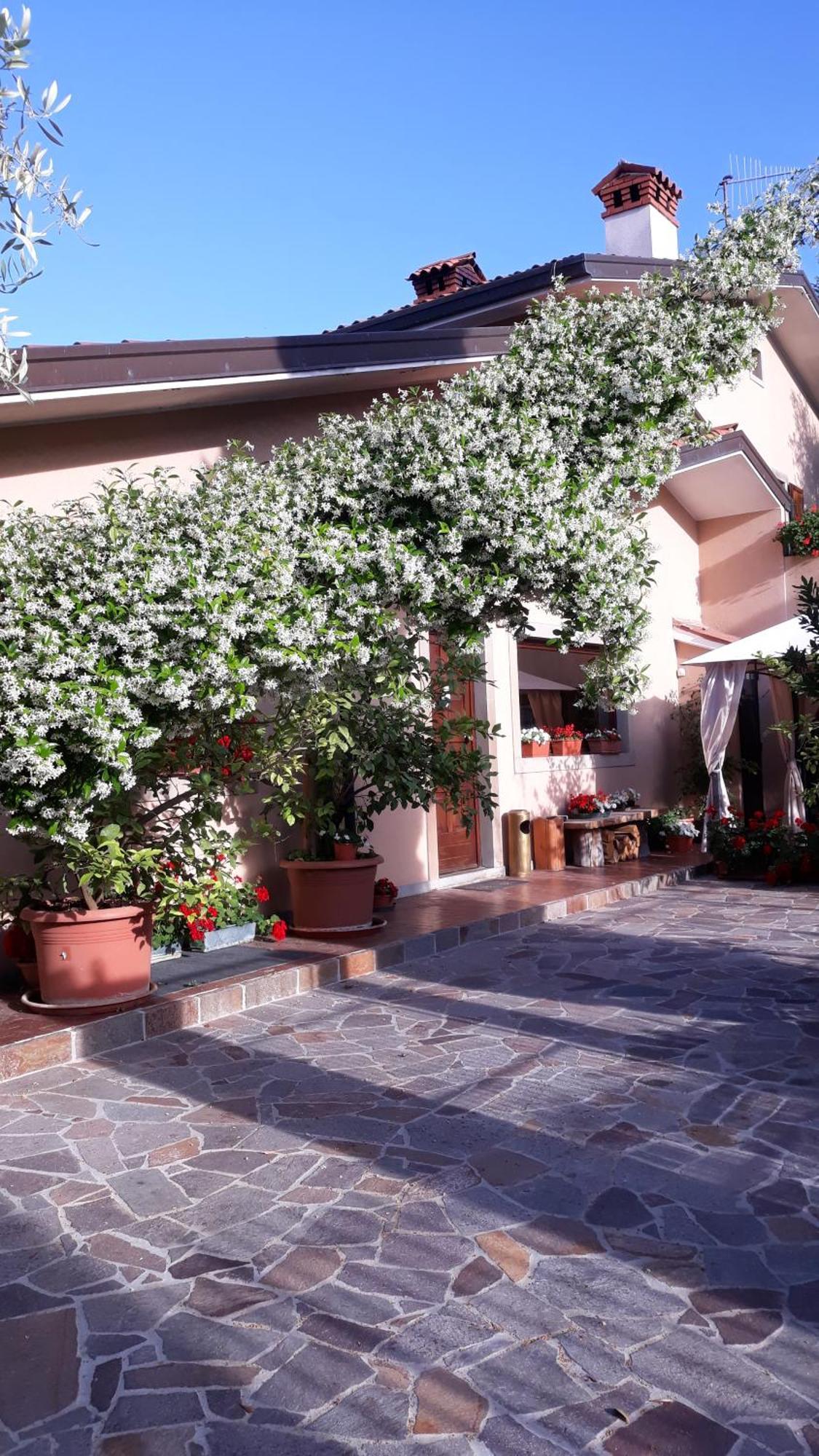 Villa Ambrosia Múggia エクステリア 写真